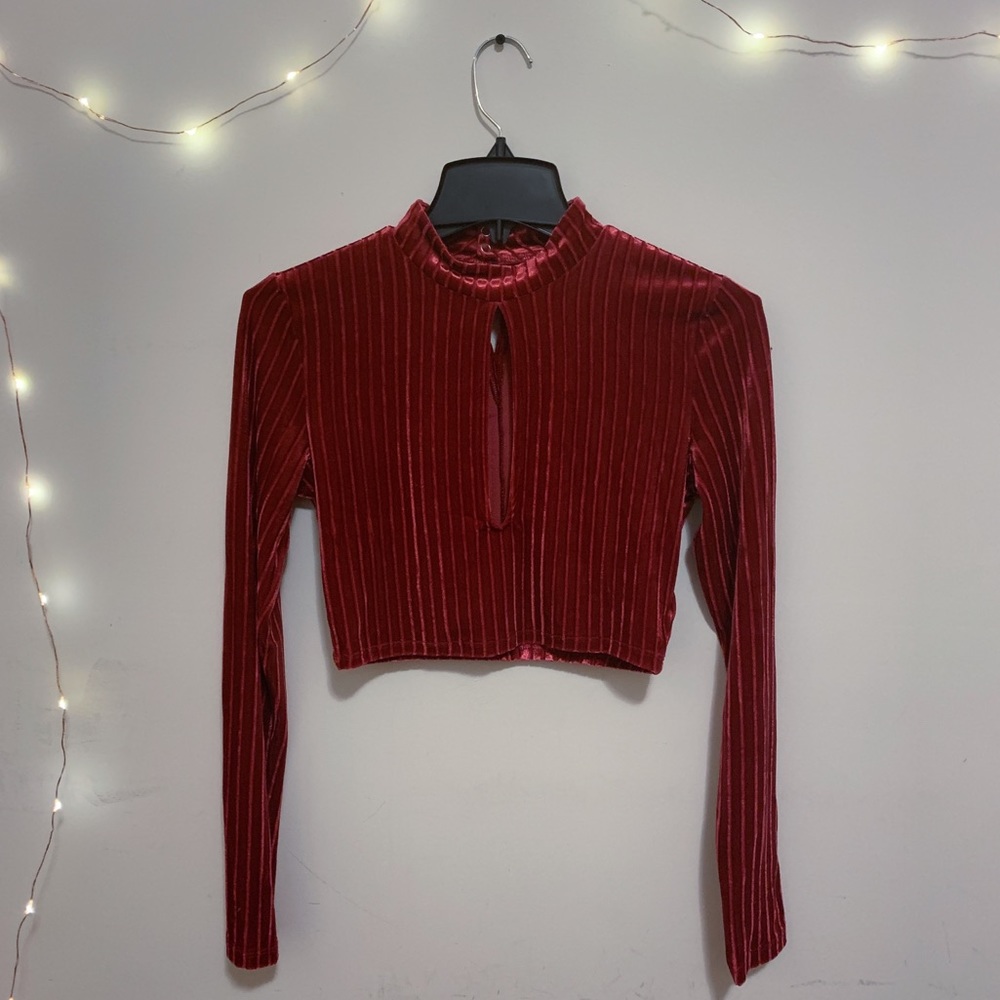 H&M Velvet Cropped Top